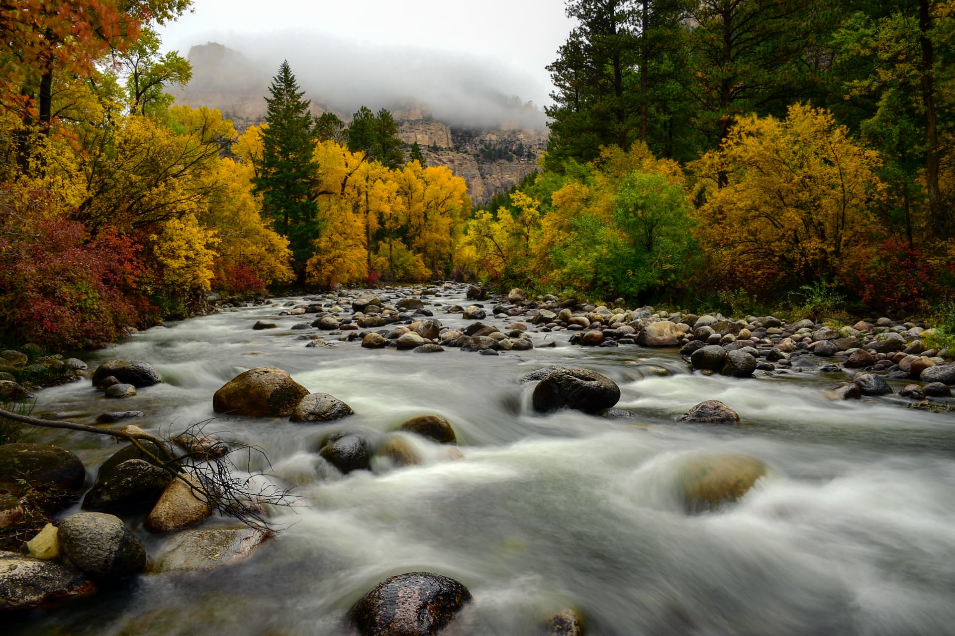 Autumn cottonwoods and aspen line a rocky river beneath misty mountains